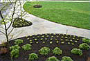 Commercial Hardscape Specialists